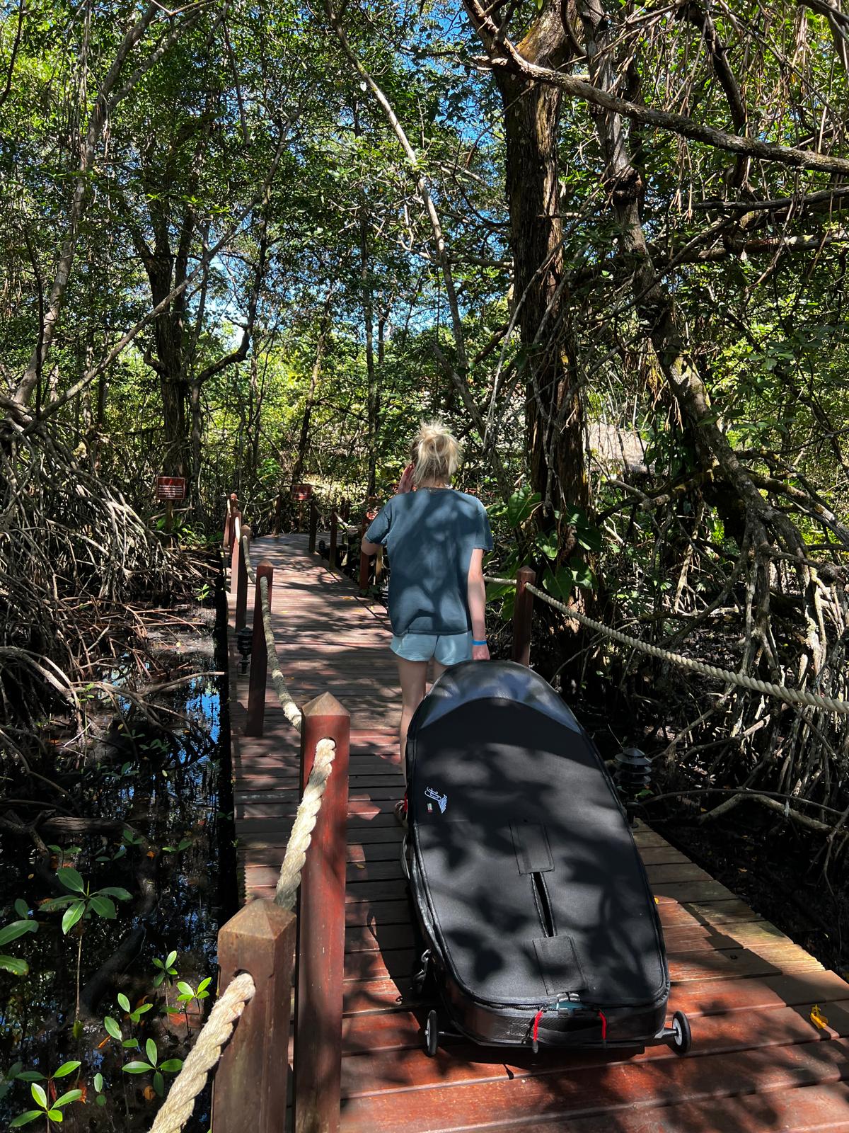 Tropical waterfall in Bocas del Toro jungle