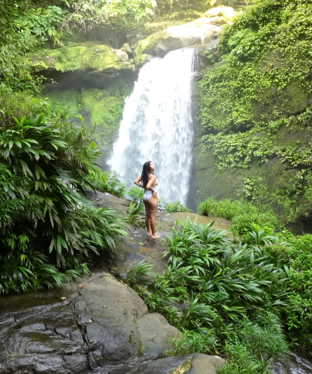 Lush island rainforest aerial view